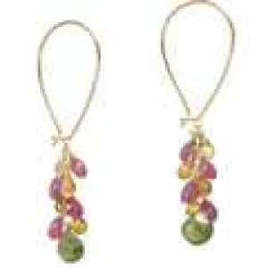 Carnivale 48 - Gold