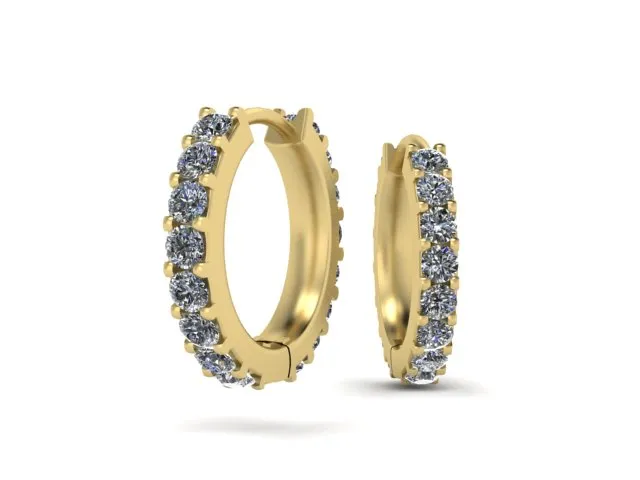 Hayden Classic Hoop Earring