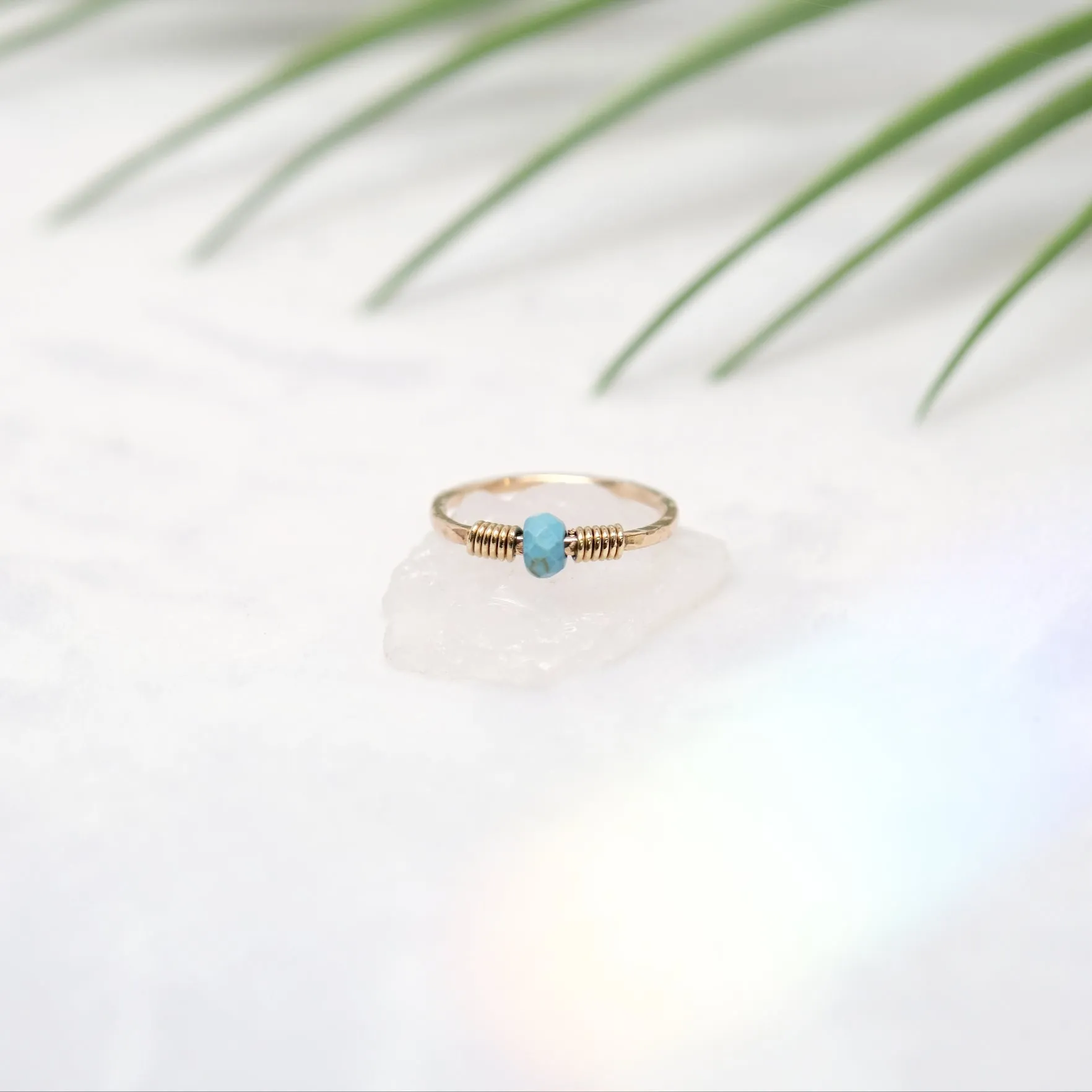 Land to Sea Ring