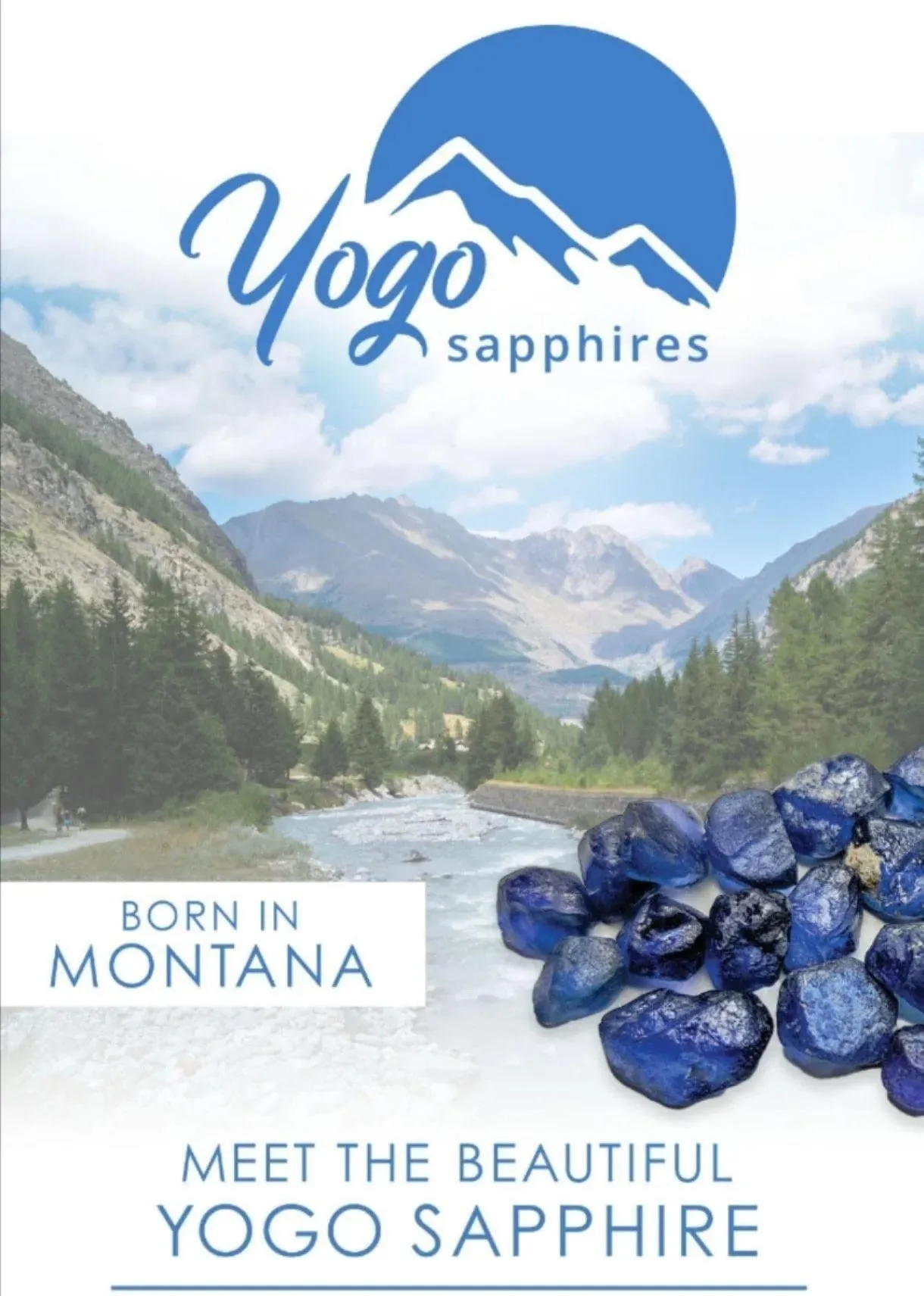 Modern Style - Yogo Sapphire Black Hills Gold Ladies Ring