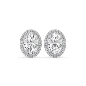 Oval Halo Stud Earrings