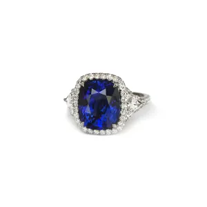 Sabel Collection Platinum Cushion Ceylon Sapphire and Diamond Halo Ring