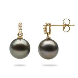 Tahitian Black Pearl Earrings in Gold with Diamonds - 9-10mm